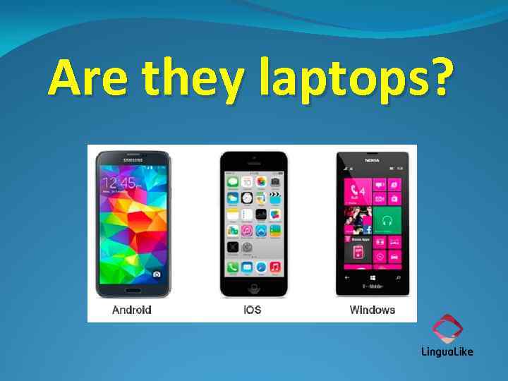 Are they laptops? 