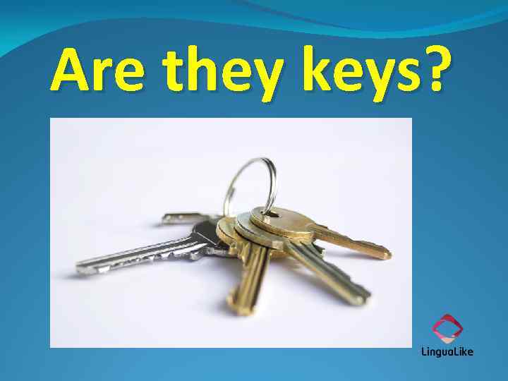 Are they keys? 