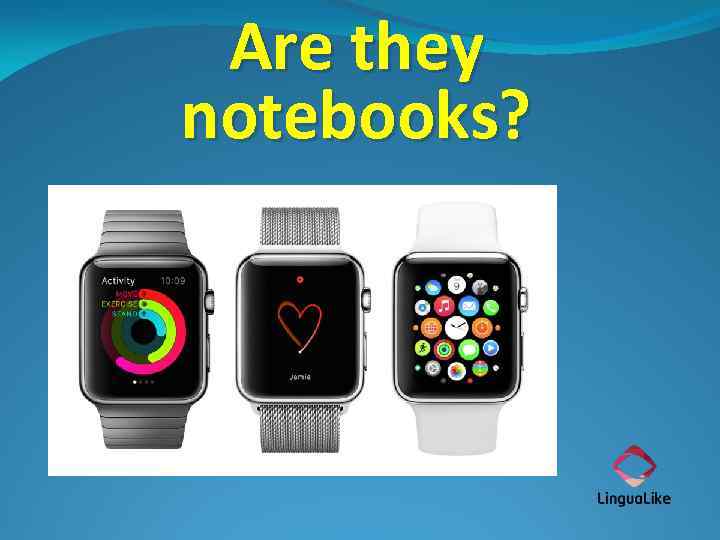 Are they notebooks? 