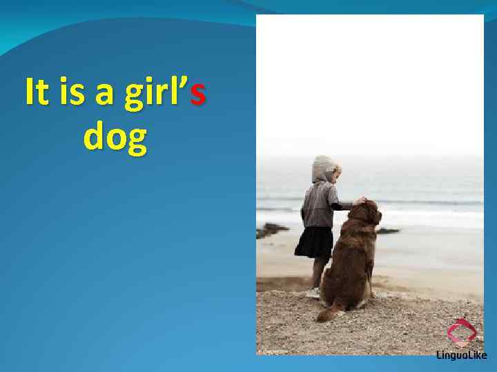 It is a girl’s dog 