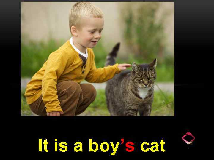 It is a boy’s cat 