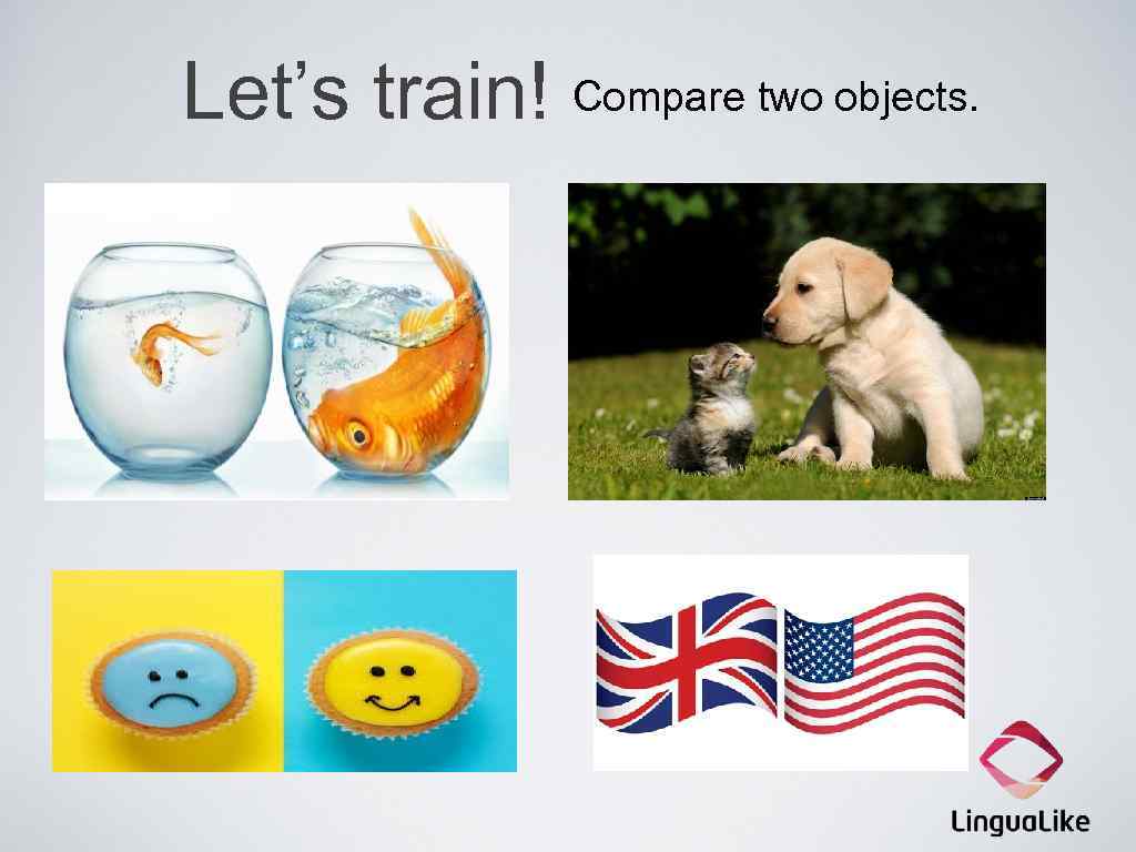 Compare animals. Compare картинка. Compare two objects. Objects to compare. Things to compare.