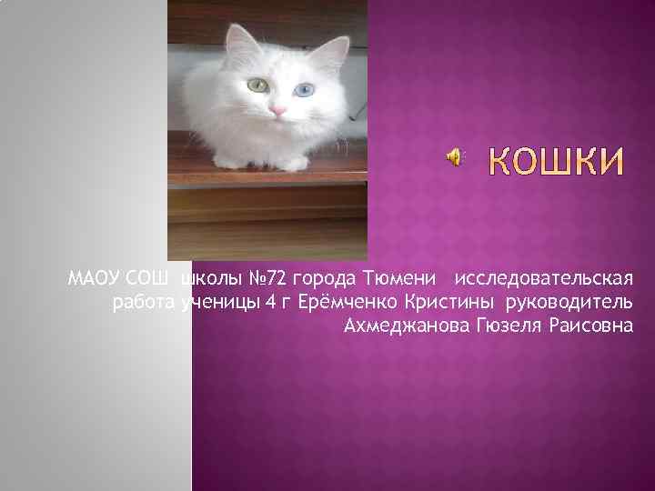 МАОУ СОШ школы № 72 города Тюмени исследовательская работа ученицы 4 г Ерёмченко Кристины