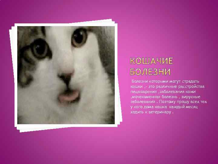 Болезни которыми могут страдать кошки , - это различные расстройства пищеварения , заболевания кожи