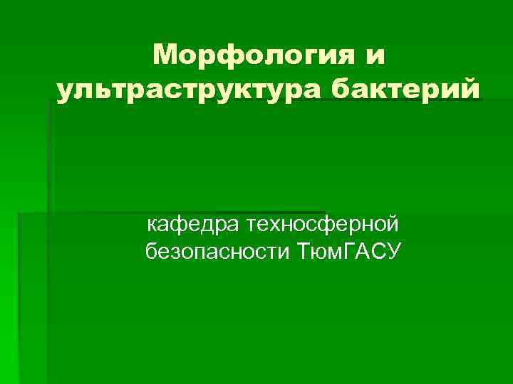 Морфология и ультраструктура бактерий кафедра техносферной безопасности Тюм. ГАСУ 