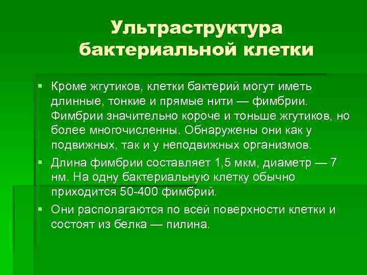 Ультраструктура бактериальной клетки § Кроме жгутиков, клетки бактерий могут иметь длинные, тонкие и прямые