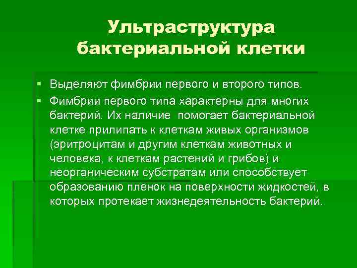 Ультраструктура бактериальной клетки § Выделяют фимбрии первого и второго типов. § Фимбрии первого типа