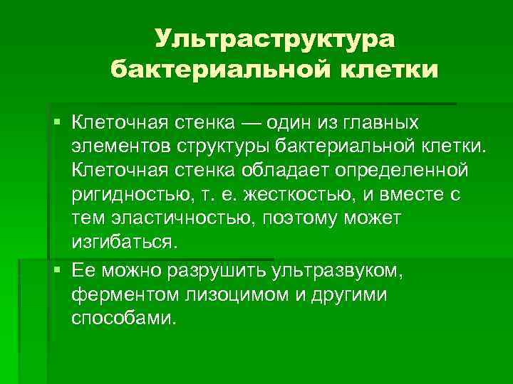 Ультраструктура бактериальной клетки § Клеточная стенка — один из главных элементов структуры бактериальной клетки.