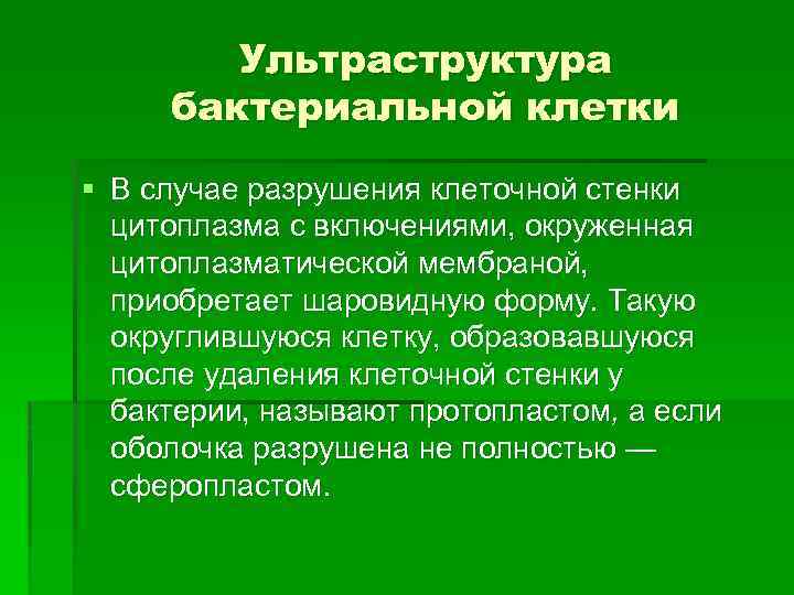 Ультраструктура бактериальной клетки § В случае разрушения клеточной стенки цитоплазма с включениями, окруженная цитоплазматической