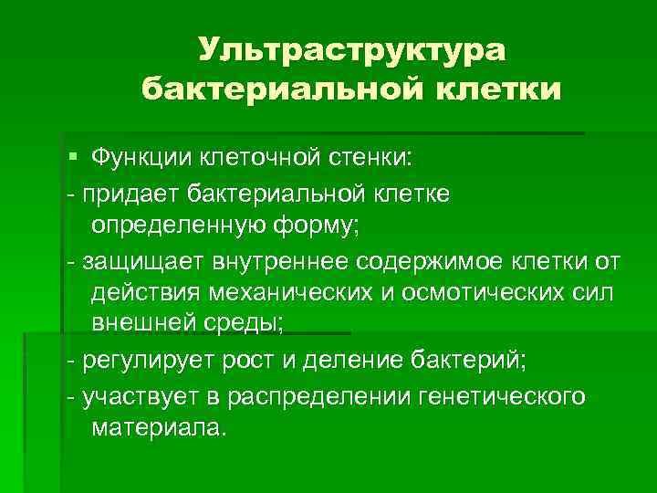 Ультраструктура бактериальной клетки § Функции клеточной стенки: придает бактериальной клетке определенную форму; защищает внутреннее