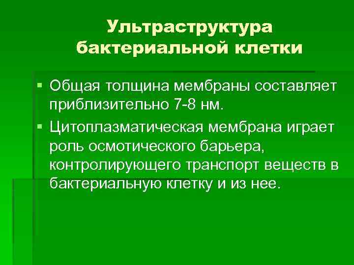 Ультраструктура бактериальной клетки § Общая толщина мембраны составляет приблизительно 7 8 нм. § Цитоплазматическая