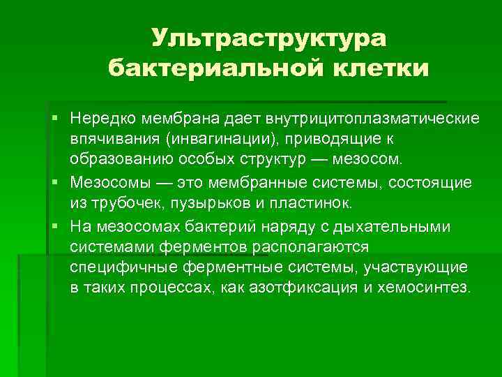 Ультраструктура бактериальной клетки § Нередко мембрана дает внутрицитоплазматические впячивания (инвагинации), приводящие к образованию особых