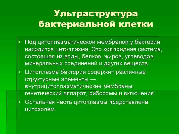 Ультраструктура бактериальной клетки § Под цитоплазматической мембраной у бактерий находится цитоплазма. Это коллоидная система,