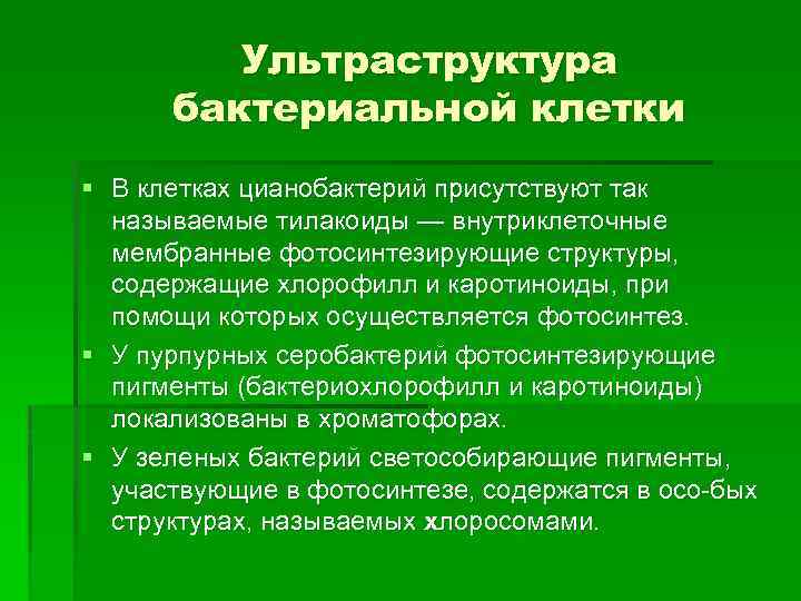 Ультраструктура бактериальной клетки § В клетках цианобактерий присутствуют так называемые тилакоиды — внутриклеточные мембранные