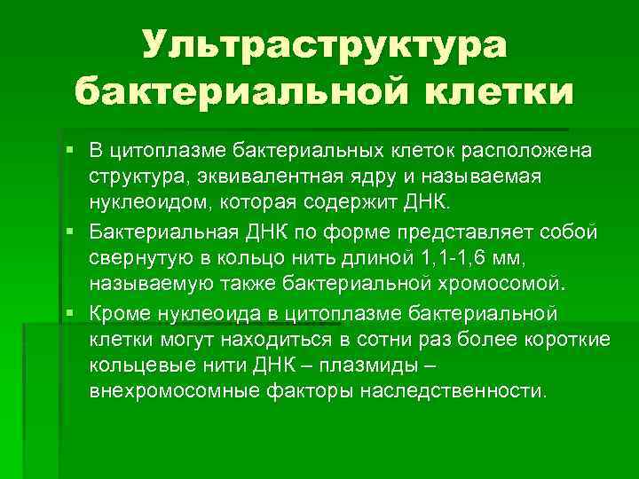 Ультраструктура бактериальной клетки § В цитоплазме бактериальных клеток расположена структура, эквивалентная ядру и называемая