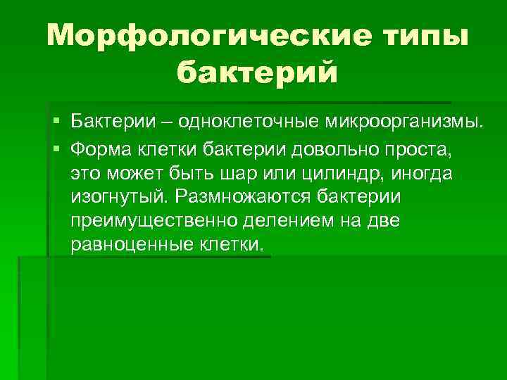 Морфологические типы бактерий § Бактерии – одноклеточные микроорганизмы. § Форма клетки бактерии довольно проста,