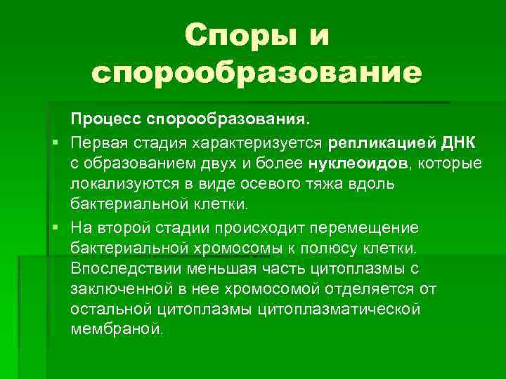 Стадии спора. Процесс спорообразования. Этапы спорообразования. Стадииспорообразовании. Стадии спорообразования.