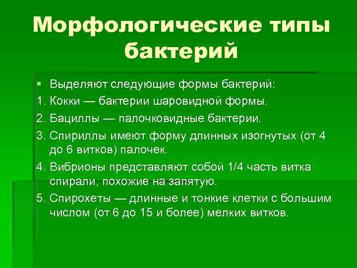 Морфологические типы бактерий § Выделяют следующие формы бактерий: 1. Кокки — бактерии шаровидной формы.