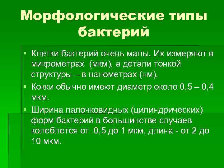 Морфологические типы бактерий § Клетки бактерий очень малы. Их измеряют в микрометрах (мкм), а