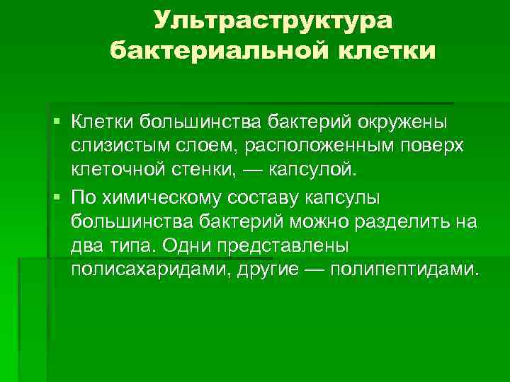 Ультраструктура бактериальной клетки § Клетки большинства бактерий окружены слизистым слоем, расположенным поверх клеточной стенки,