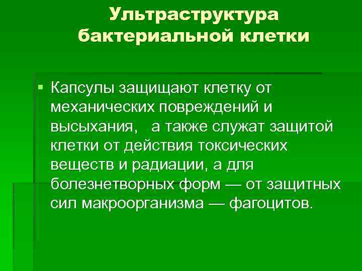 Ультраструктура бактериальной клетки § Капсулы защищают клетку от механических повреждений и высыхания, а также