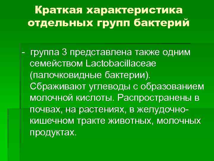 Краткая характеристика отдельных групп бактерий группа 3 представлена также одним семейством Lactobacillaceae (палочковидные бактерии).