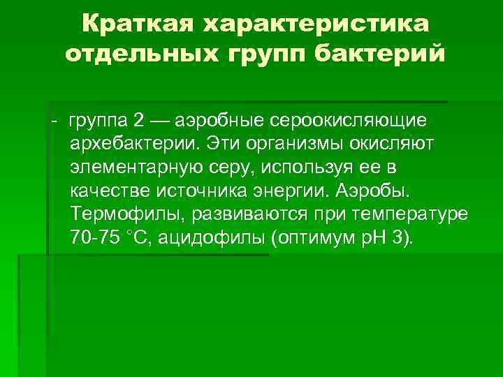 Краткая характеристика отдельных групп бактерий группа 2 — аэробные сероокисляющие архебактерии. Эти организмы окисляют