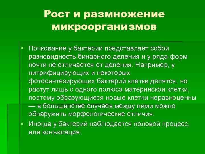 Рост и размножение микроорганизмов § Почкование у бактерий представляет собой разновидность бинарного деления и