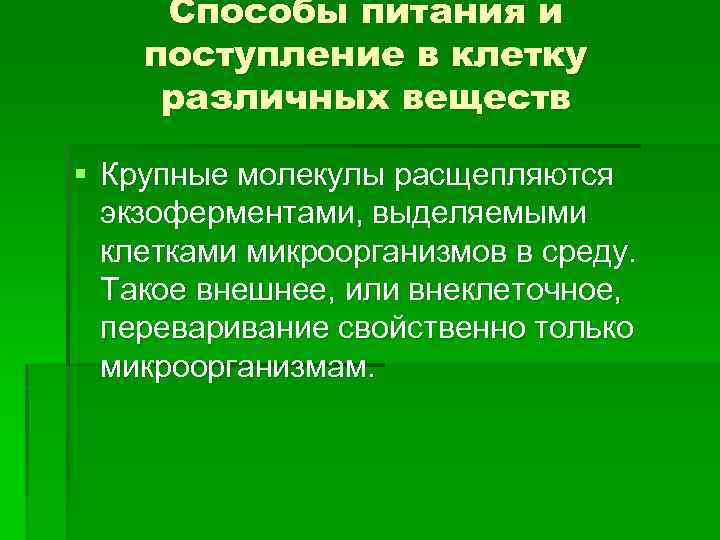 Способы питания и поступление в клетку различных веществ § Крупные молекулы расщепляются экзоферментами, выделяемыми