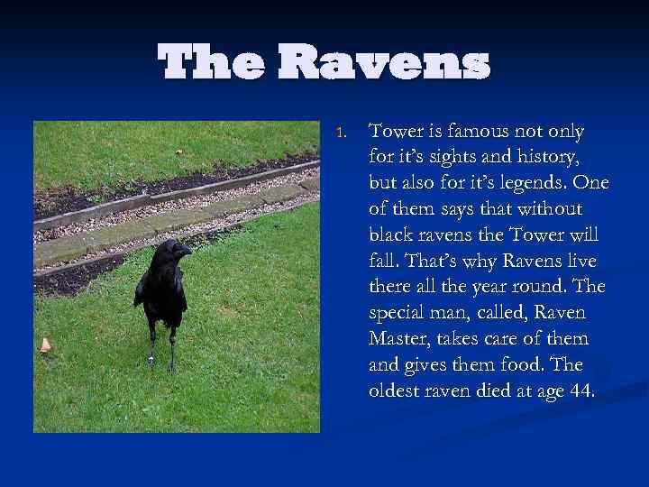 The Ravens 1. Tower is famous not only for it’s sights and history, but