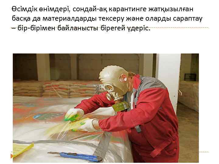 Өсімдік өнімдері, сондай ақ карантинге жатқызылған басқа да материалдарды тексеру және оларды сараптау –