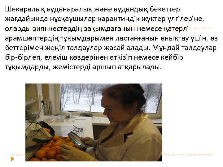 Шекаралық ауданаралық және аудандық бекеттер жағдайында нұсқаушылар карантиндік жүктер үлгілеріне, оларды зиянкестердің зақымдағанын немесе