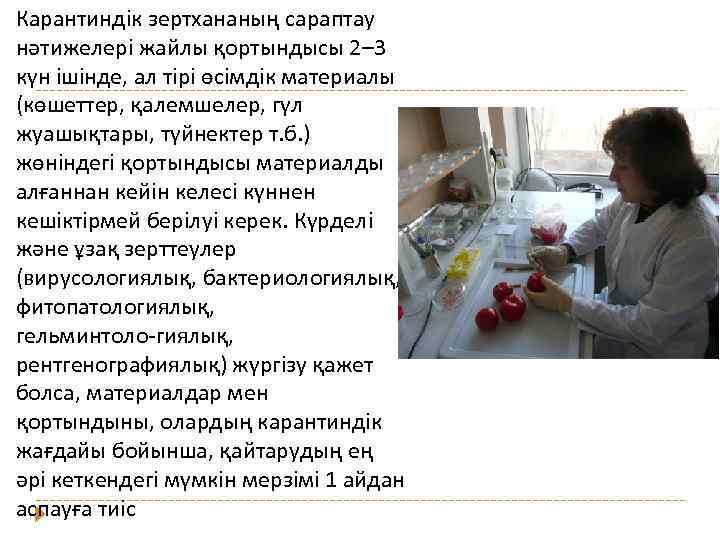 Карантиндік зертхананың сараптау нәтижелері жайлы қортындысы 2– 3 күн ішінде, ал тірі өсімдік материалы