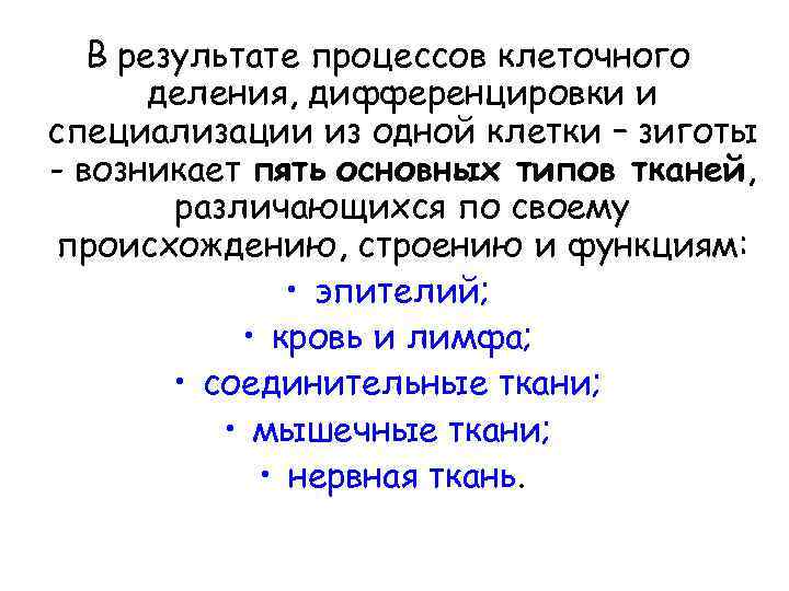 В результате процессов клеточного деления, дифференцировки и специализации из одной клетки – зиготы -