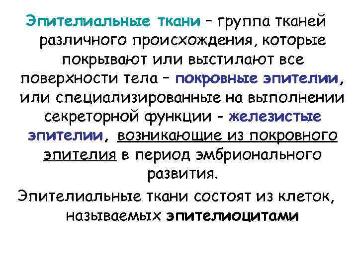 Эпителиальные ткани – группа тканей различного происхождения, которые покрывают или выстилают все поверхности тела