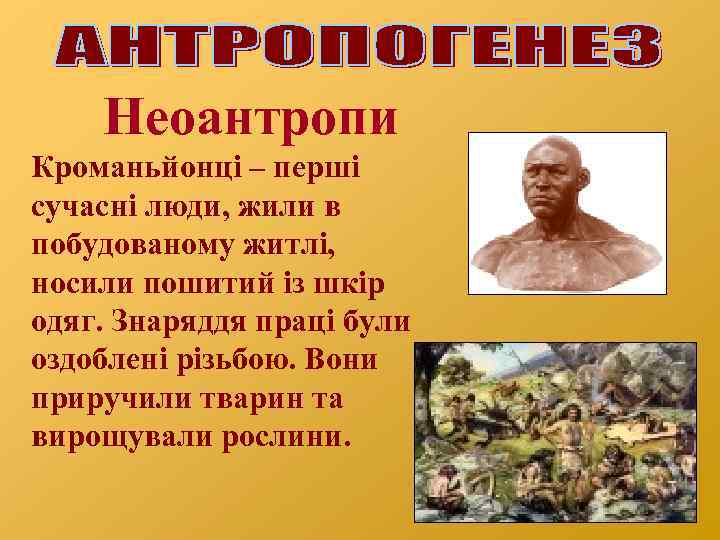 Неоантропи Кроманьйонці – перші сучасні люди, жили в побудованому житлі, носили пошитий із шкір