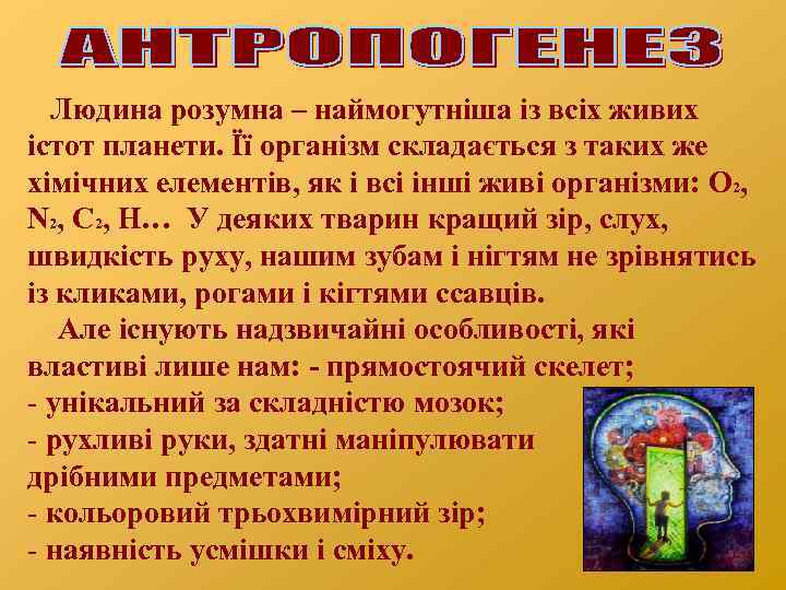 Людина розумна – наймогутніша із всіх живих істот планети. Її організм складається з таких