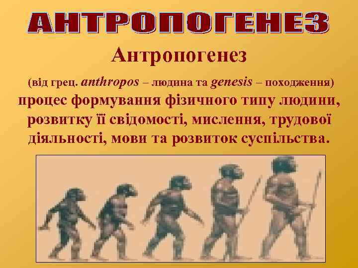 Антропогенез (від грец. аnthropos – людина та genesis – походження) процес формування фізичного типу