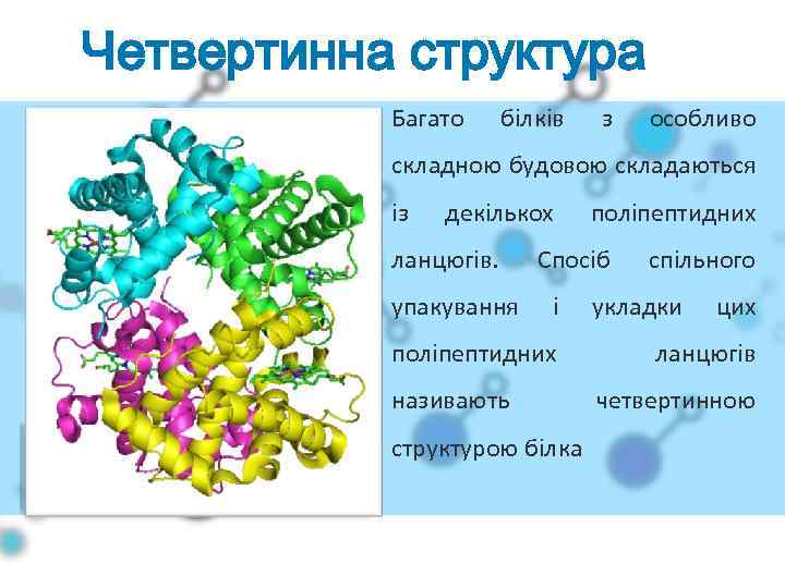 Четвертинна структура Багато білків з особливо складною будовою складаються із декількох ланцюгів. упакування поліпептидних