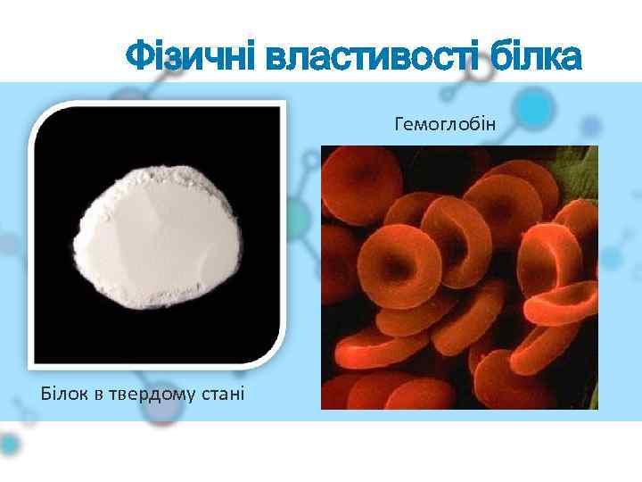 Фізичні властивості білка Гемоглобін Білок в твердому стані 