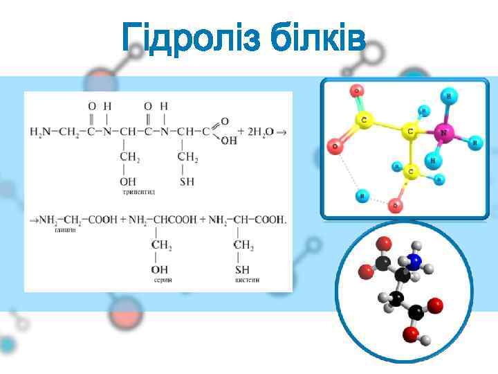 Гідроліз білків 