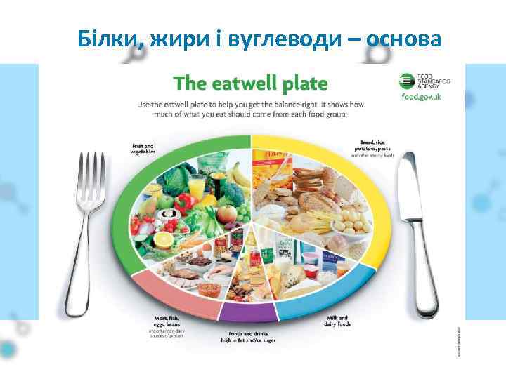 Білки, жири і вуглеводи – основа харчування 
