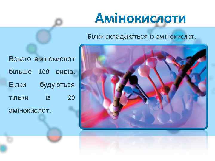 Амінокислоти Білки складаються із амінокислот. Всього амінокислот більше 100 видів. Білки тільки будуються із