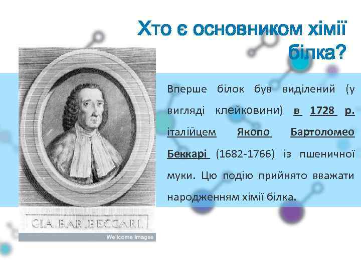 Хто є основником хімії білка? Вперше білок був виділений (у вигляді клейковини) в 1728