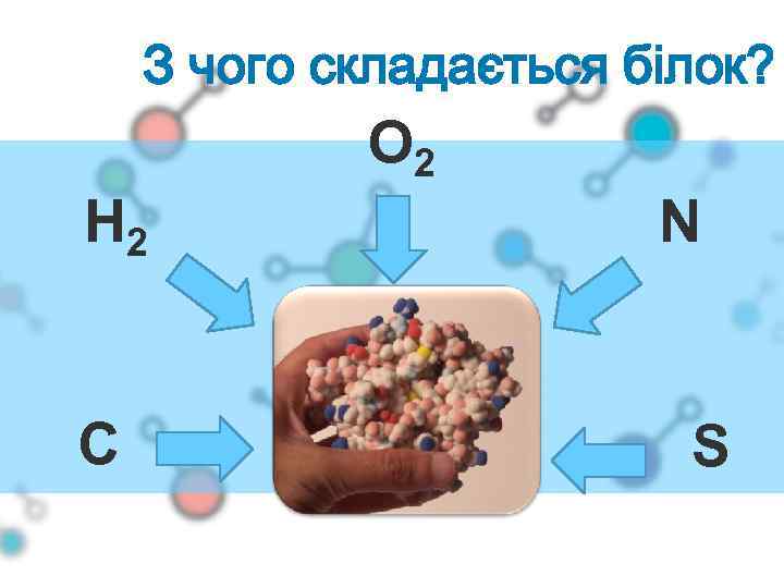 З чого складається білок? O 2 H 2 C N S 
