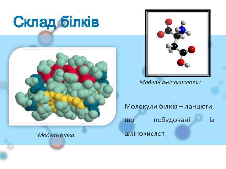 Склад білків Модель амінокислоти Молекули білків – ланцюги, що Модель білка побудовані амінокислот із