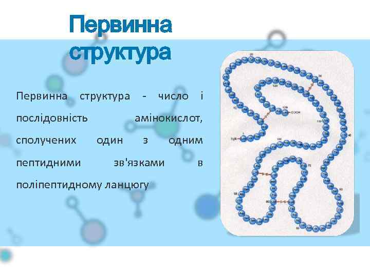 Первинна структура - число і послідовність сполучених пептидними амінокислот, один з зв'язками поліпептидному ланцюгу