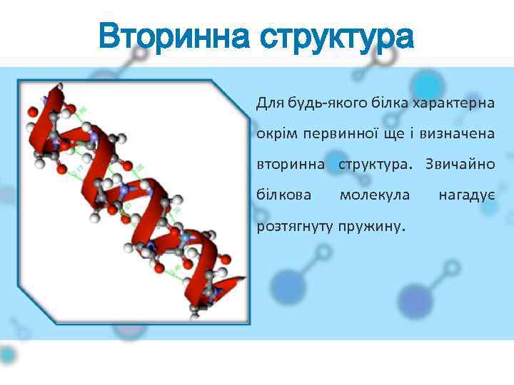 Вторинна структура Для будь-якого білка характерна окрім первинної ще і визначена вторинна структура. Звичайно