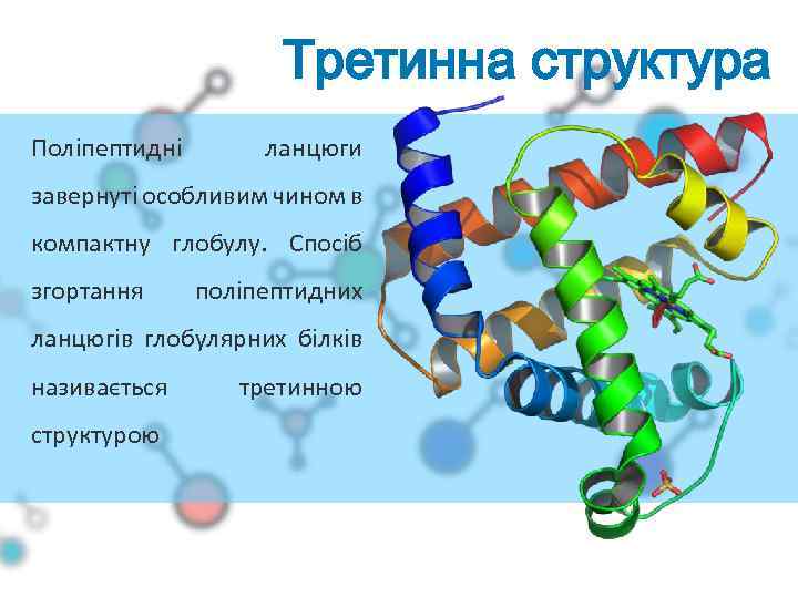 Третинна структура Поліпептидні ланцюги завернуті особливим чином в компактну глобулу. Спосіб згортання поліпептидних ланцюгів
