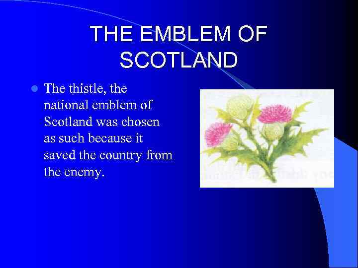 THE EMBLEM OF SCOTLAND l The thistle, the national emblem of Scotland was chosen